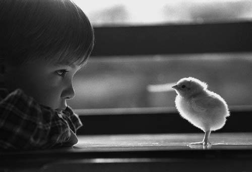          -     " "  -   : http://vk.com/creationoflife - 13  2015  21:06