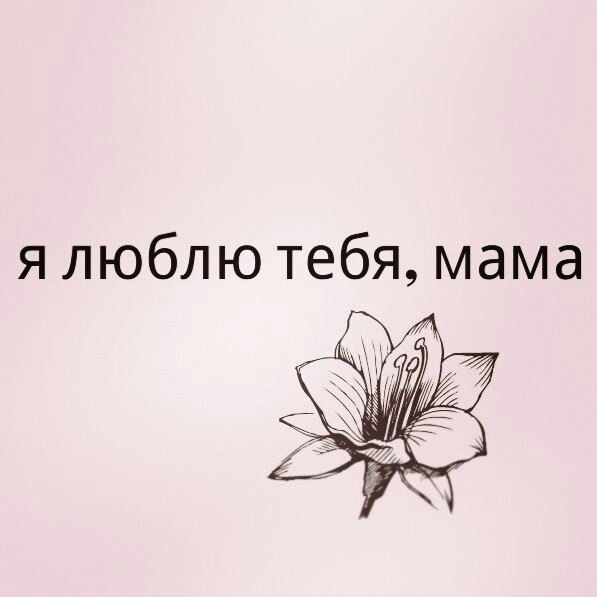   -  ,  -  - 23  2015  07:39