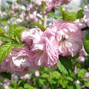 ���� ��������, ������, 48 ��� - ��������� 15 ��� 2015 � ������ ���� ���������..))�