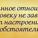 ���� ������, ������������, 49 ��� - ��������� 14 ��� 2015 � ������ ������ ��������