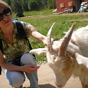 ������ ���...))))) �� ������� ���� ����������