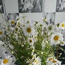 ���������� �������� �� ������� ������� -�������������