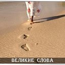 ���� �������, ���������, 63 ���� - ��������� 8 ���� 2015 � ������ ������ ��������