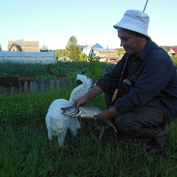 ���� ������, �����������, 49 ��� - ��������� 11 ������� 2015