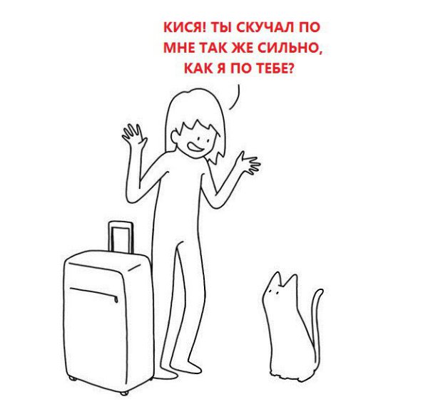  - 1  2015  11:11