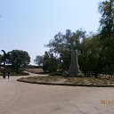  , , 47  -  8  2015    