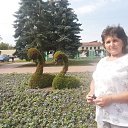 ���� �������, ������, 68 ��� - ��������� 1 �������� 2015 � ������ ���� ����������