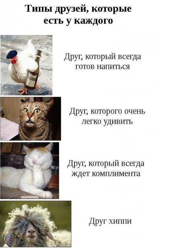   - 1  2015  17:03