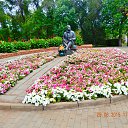 ���� �������, �������� - ��������� 29 ������� 2015 � ������ ����� ������-29-08-2015�