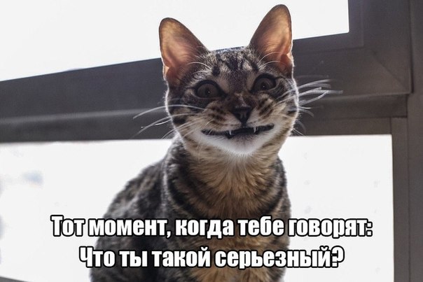  -  - 10  2015  14:22