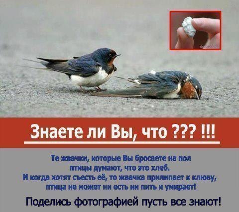 �������� ����� - 24 ������ 2015 � 10:45