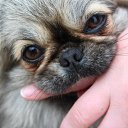  , --, 38  -  9  2015    