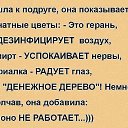 ���� ��������, ������ - ��������� 12 ���� 2015 � ������ ������ ��������