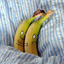 ���� �������, ������, 45 ��� - ��������� 12 ��� 2015 � ������ ���� ����������