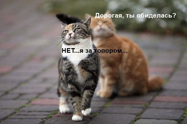       - 29  2015  09:04