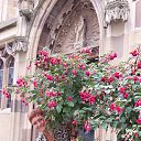 ���� ������, �����-��������� - ��������� 31 ��� 2015 � ������ ���� ����������