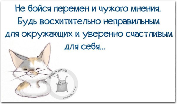   - 23  2015  17:46