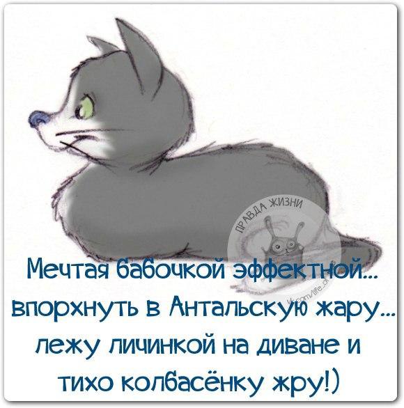   - 8  2015  01:16