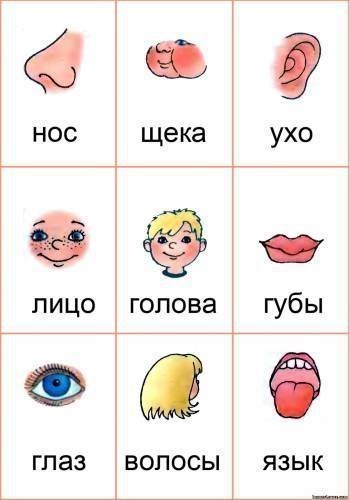         .       ...