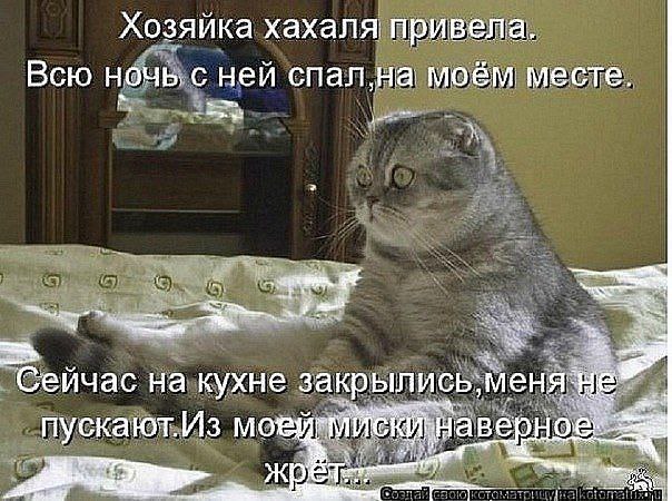  - 6  2015  16:46