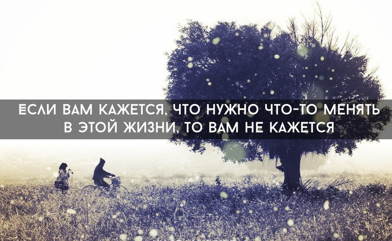   - 11  2015  17:42