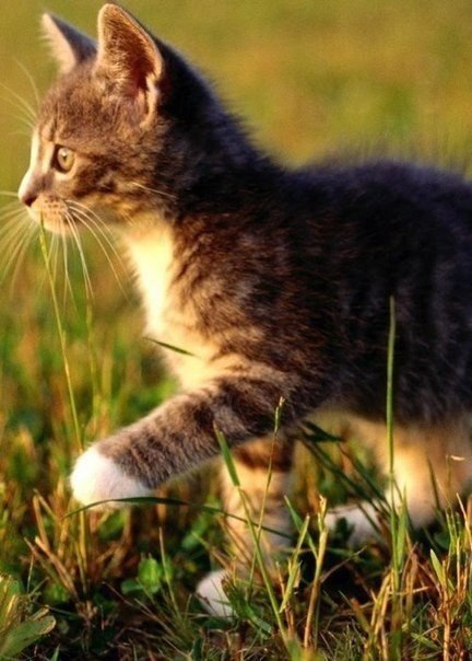 |В| Счастье есть... |В| - 12 августа 2015 в 23:26