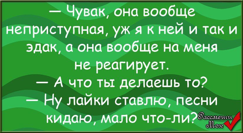  - 12  2015  19:52
