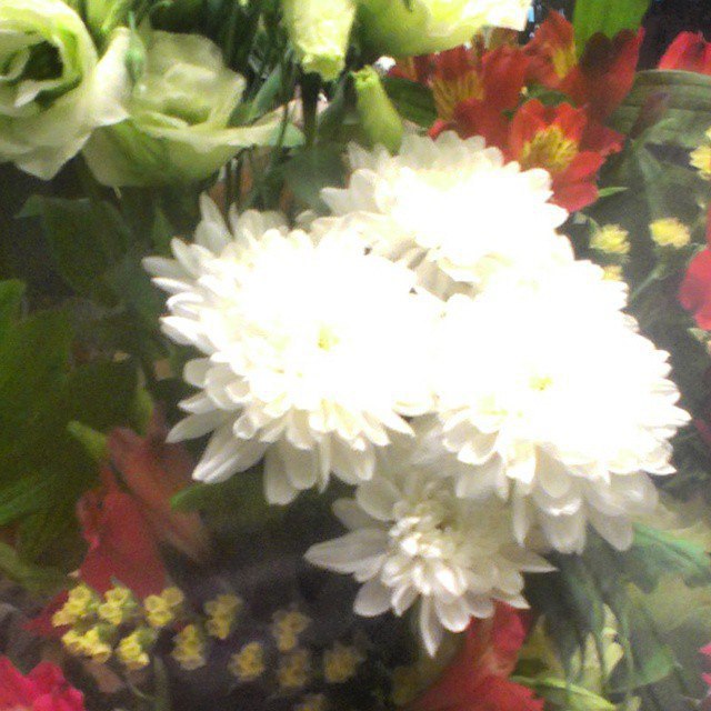 #flovers