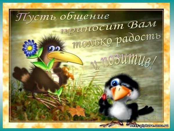    - 23  2015  17:36