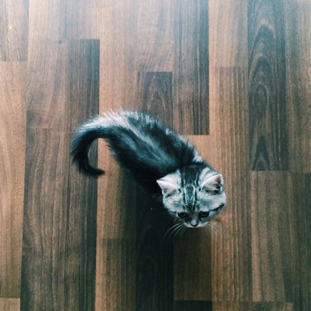 *** - 20  2015  03:51