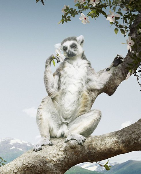 Саймен Джохан (Simen Johan) — фотограф, современный художник и скульптор. Родился в Норвегии в 1973 ... - 9