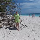 ���� ��������, ���������� - ��������� 4 ��� 2015 � ������ ���� ����������