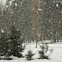 ���� ������, ������������, 65 ��� - ��������� 23 ������ 2015 � ������ �������� �������
