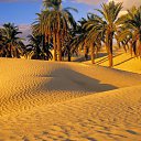 ���� Sofiane, ���� - ��������� 25 ���� 2015 � ������ �ALGERIE�