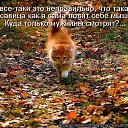   ,       )))))    