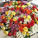 ���� �ia, ������ - ��������� 25 ������� 2015 � ������ ���� ����������