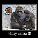 ���� ��������, ������, 45 ��� - ��������� 12 ���� 2015