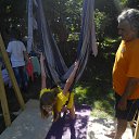 ���� �� ������� ���� ����������