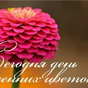 ���� �����, ��������� - ��������� 12 �������� 2015 � ������ �������� ��������