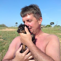 ��������, �����������, 59 ���