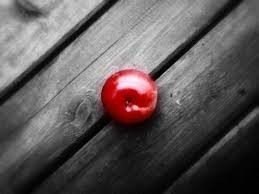    ,   .     .  ... - 4