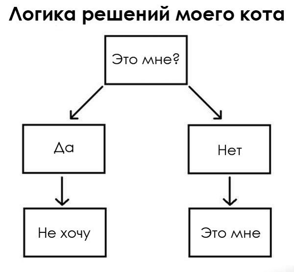   - 16  2015  13:41