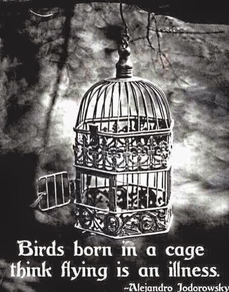 Birds born in a cage think flying is an https://fotostrana.ru/away?to=/sl/OU03 [ked]  flying [fla]illness [lns] , ...