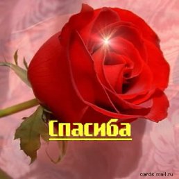 ���� ��������, ���������, 49 ��� - ��������� 18 ���� 2015