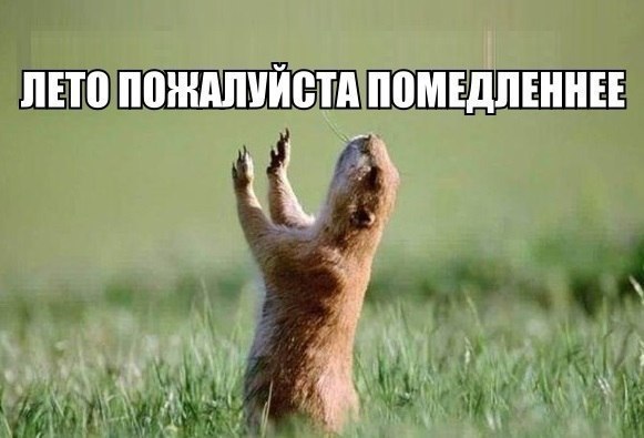 ? ,  ! - 19  2015  02:28