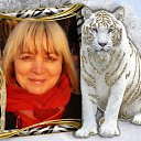 ���� ���������, ���� - ��������� 28 ��� 2015 � ������ ���� ����������