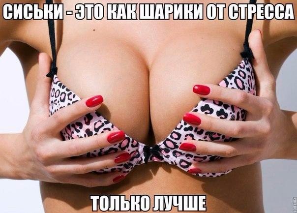   - 15  2015  12:18