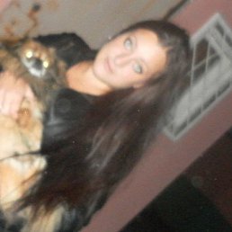 �����, ����-���������, 41 ���