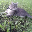  ♥♥, - -  18  2015    