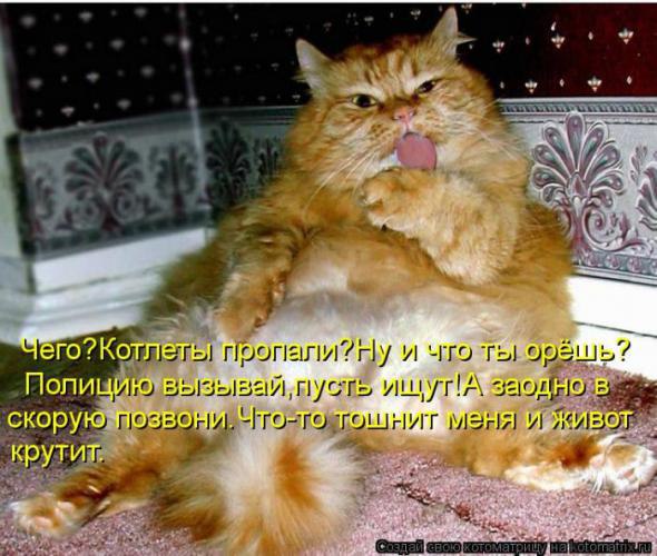   - 27  2015  11:17